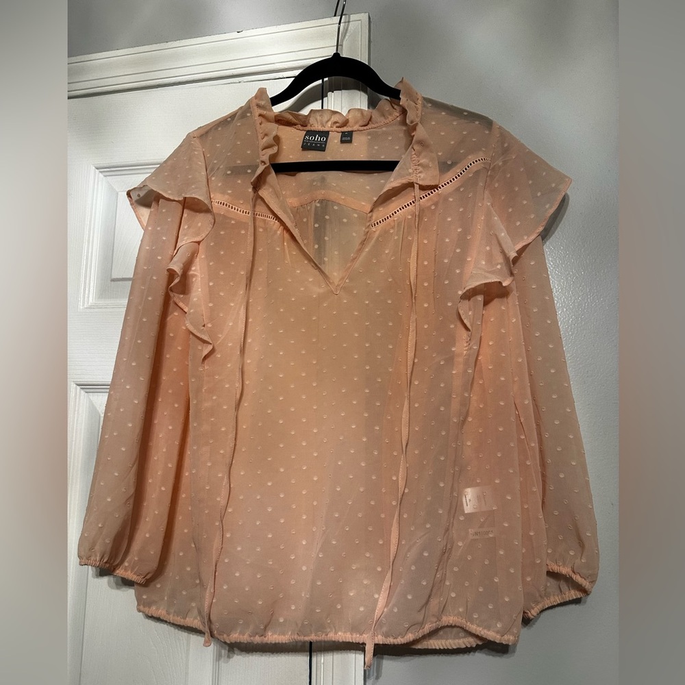 Sheer Ruffled Blouse